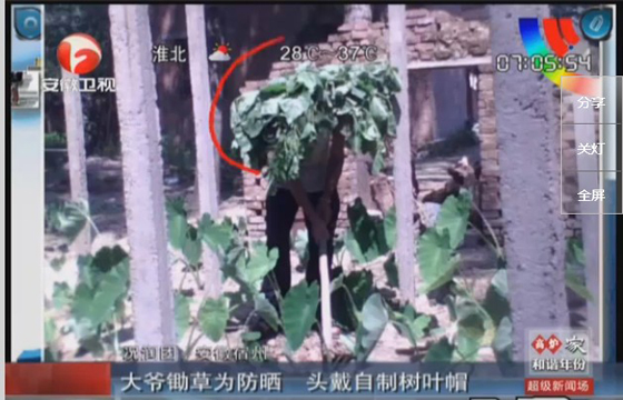 農(nóng)民防曬有絕招，就地取材，頭戴樹葉自制帽子