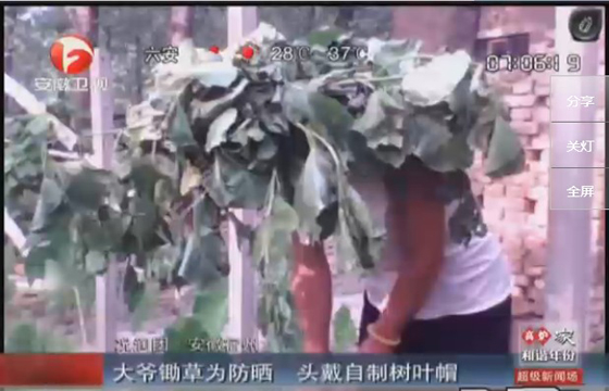 農(nóng)民防曬有絕招，就地取材，頭戴樹葉自制帽子