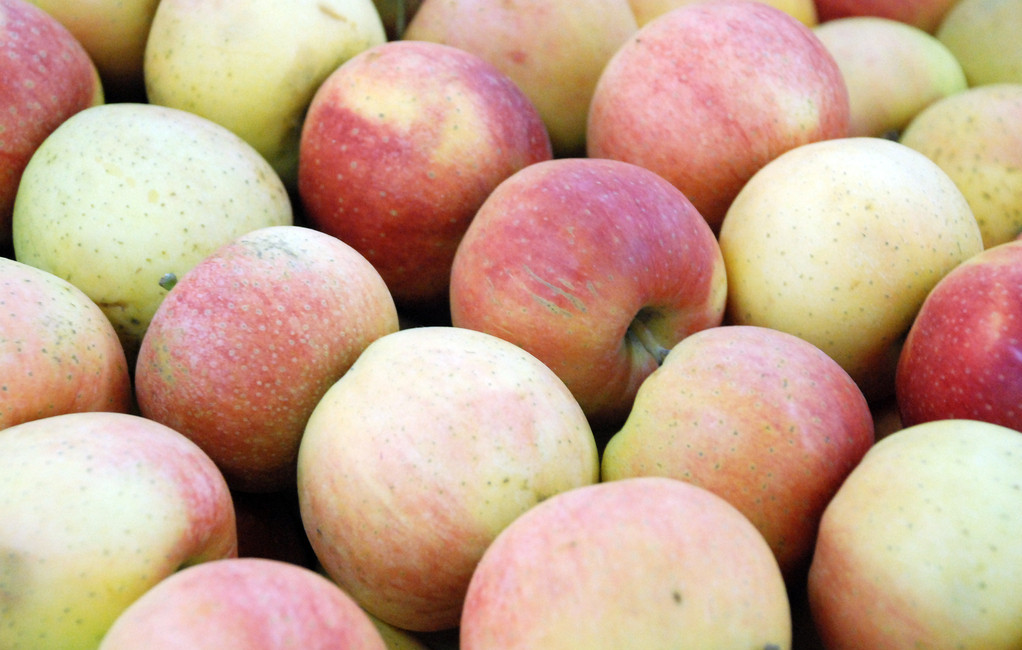 高普帽子廠傳遞“平安果”，洋溢新祝福